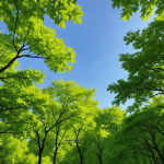 Mental health practices for a healthier mind