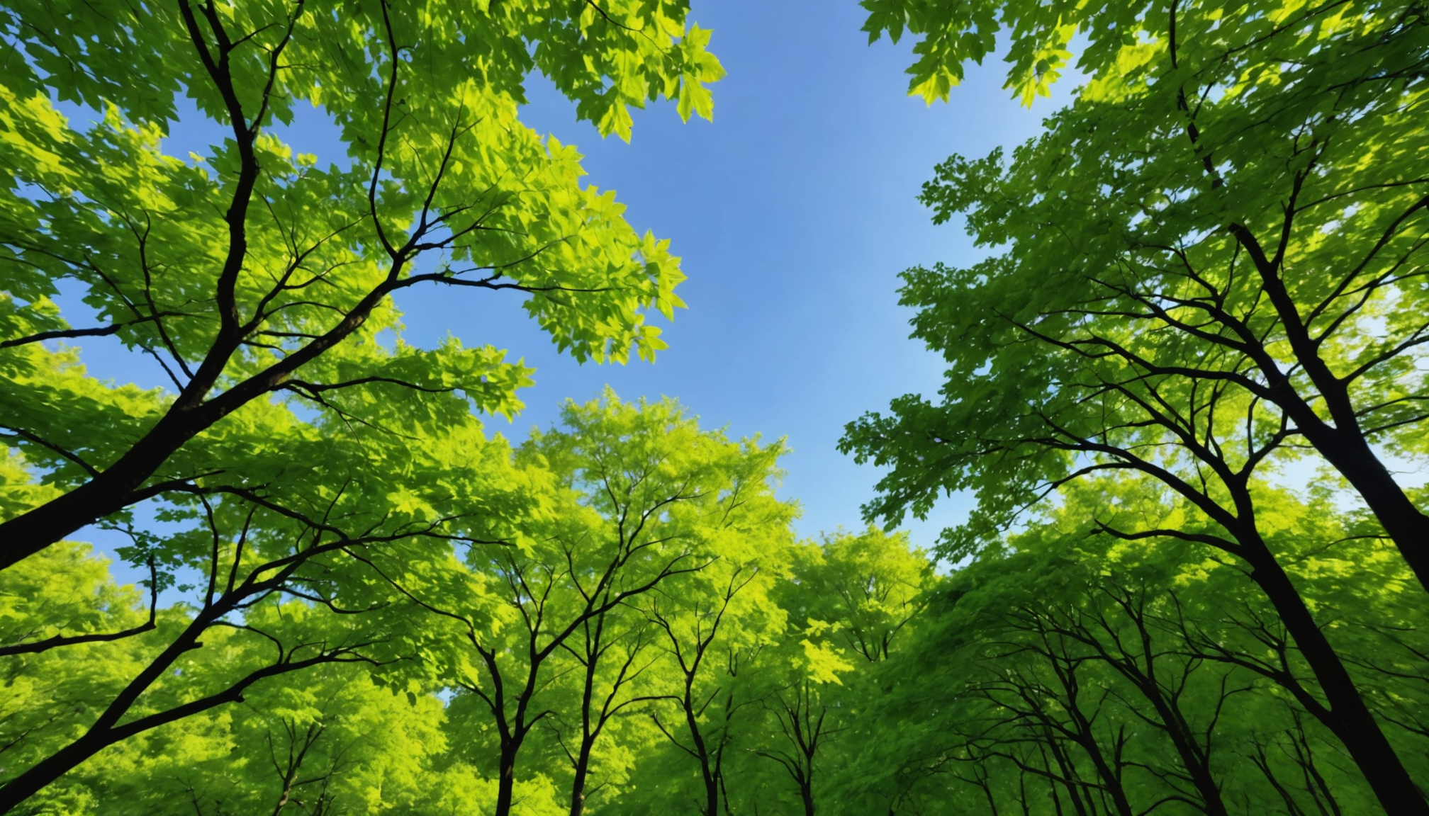 Mental health practices for a healthier mind